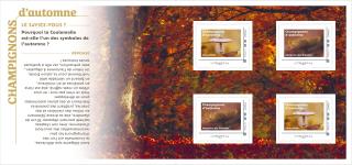 Sammlerstück 4 Briefmarken - Pilze Herbst - Grüner Brief